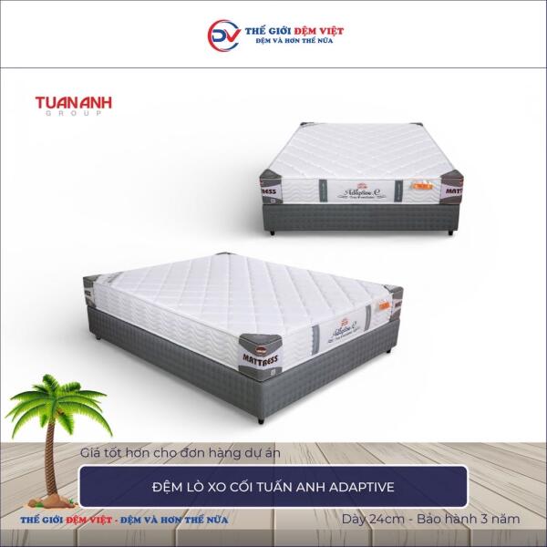 Đệm lò xo cối Tuấn Anh Adaptive 3